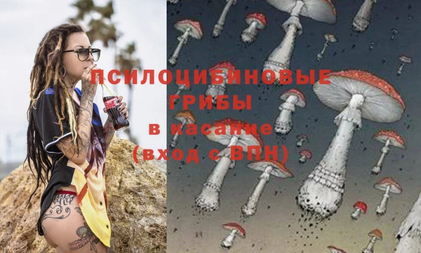 мдпв Сатка