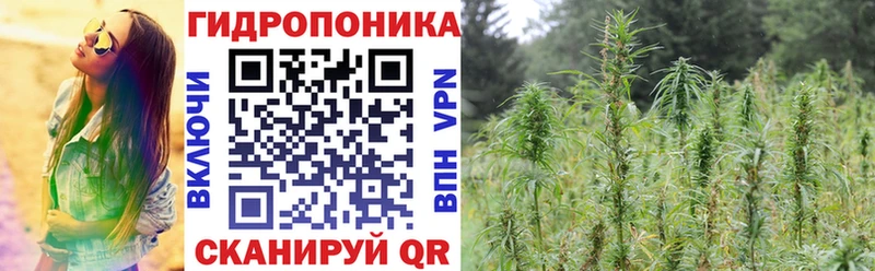 Бошки Шишки гибрид  blacksprut ONION  Мещовск 